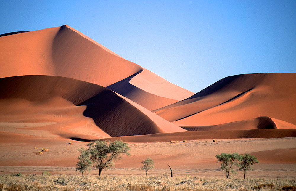 Namib_Naukluft_National_Park_029